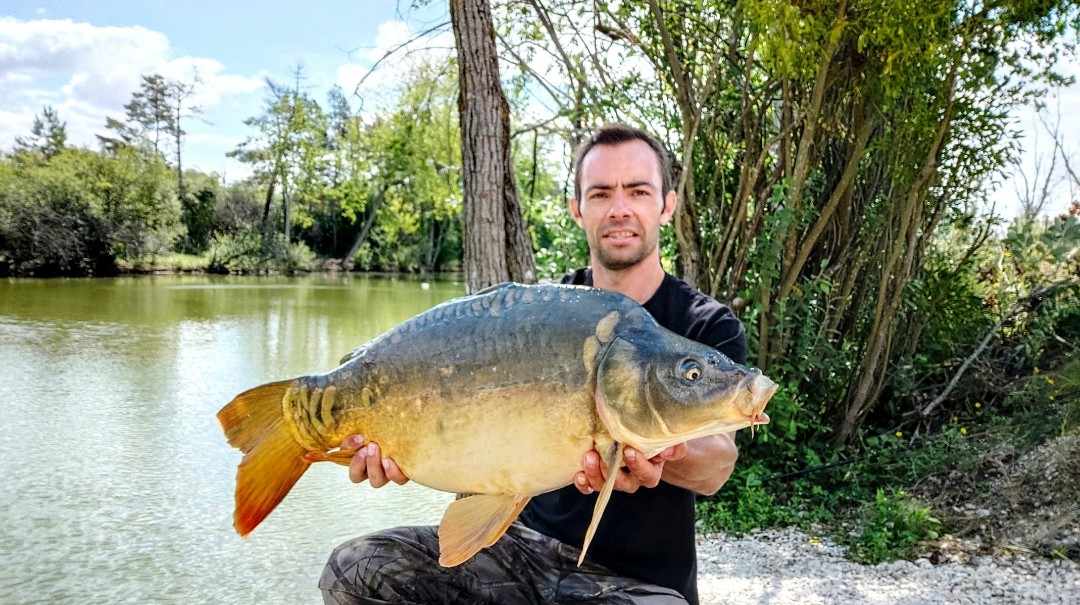 Lanodonte Karpervissen Noord Frankrijk 18 Noord Frankrijk 18