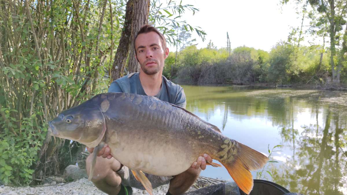 Lanodonte Karpervissen Noord Frankrijk 2 Lanodonte Karpervissen Frankrijk