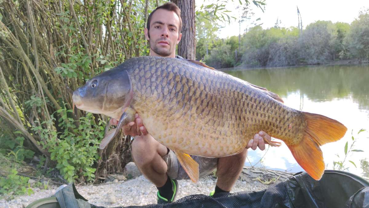Lanodonte Karpervissen Noord Frankrijk 3 Karpervissen Noord 3