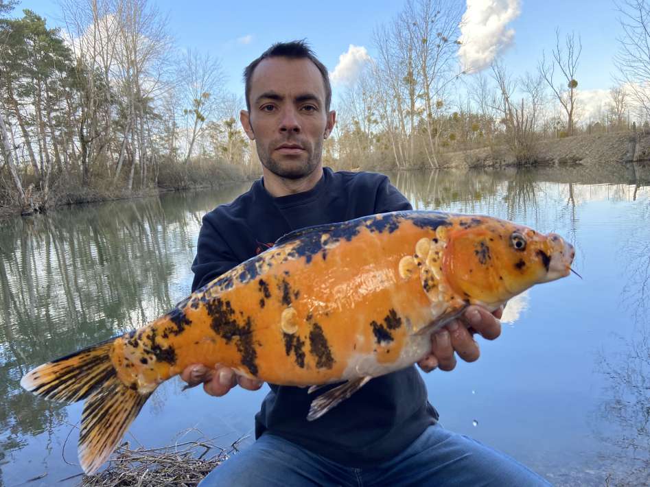 Lanodonte Karpervissen Noord Frankrijk 4 Lanodonte Noord 4