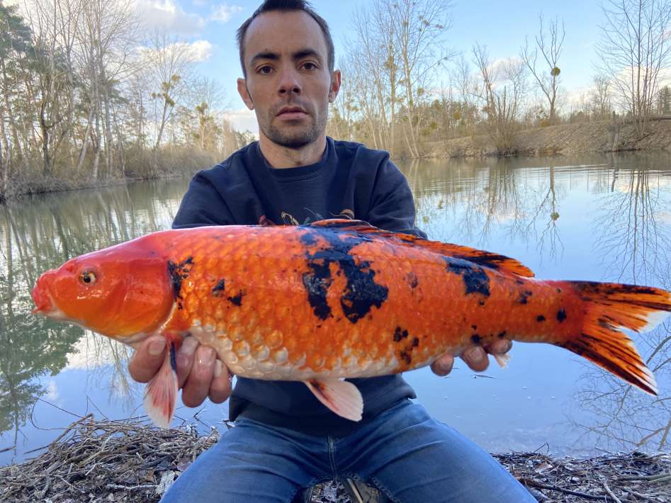 Lanodonte Karpervissen Noord Frankrijk 7 Lanodonte Karpervissen Frankrijk