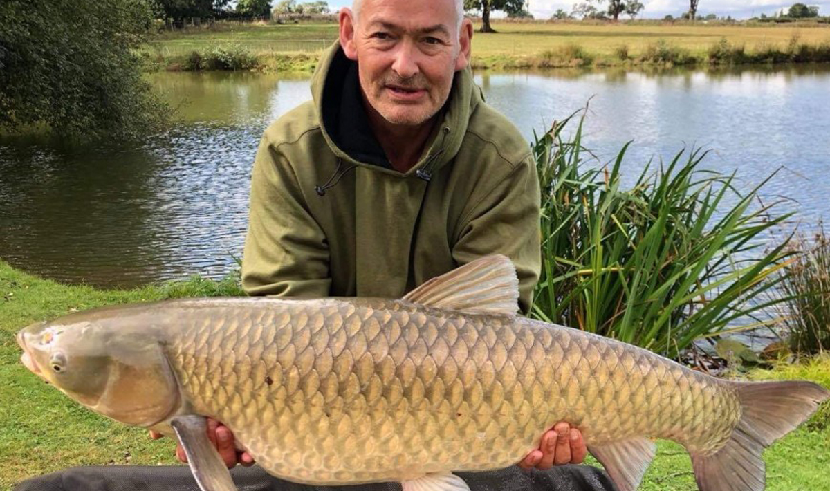 Karper Petite Coquais Frankrijk Karpers Petite Coquais Gezin