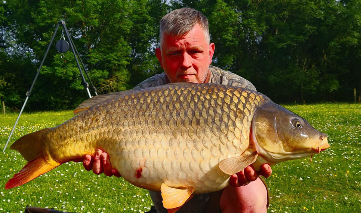 Karper Petite Coquais Frankrijk Karpers Coquais Frankrijk Gezin