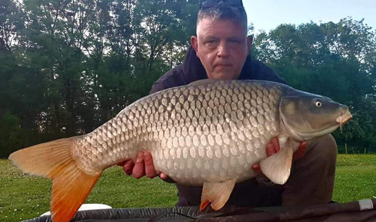 Karper Petite Coquais Frankrijk Karpers Karpers Gezin 5