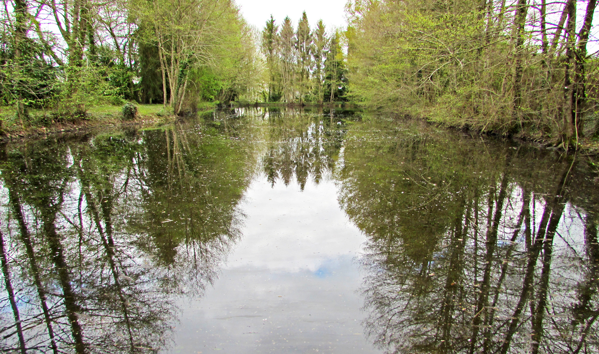 Sfeer Petite Coquais Frankrijk Karpers Sfeer Frankrijk Karpervissen