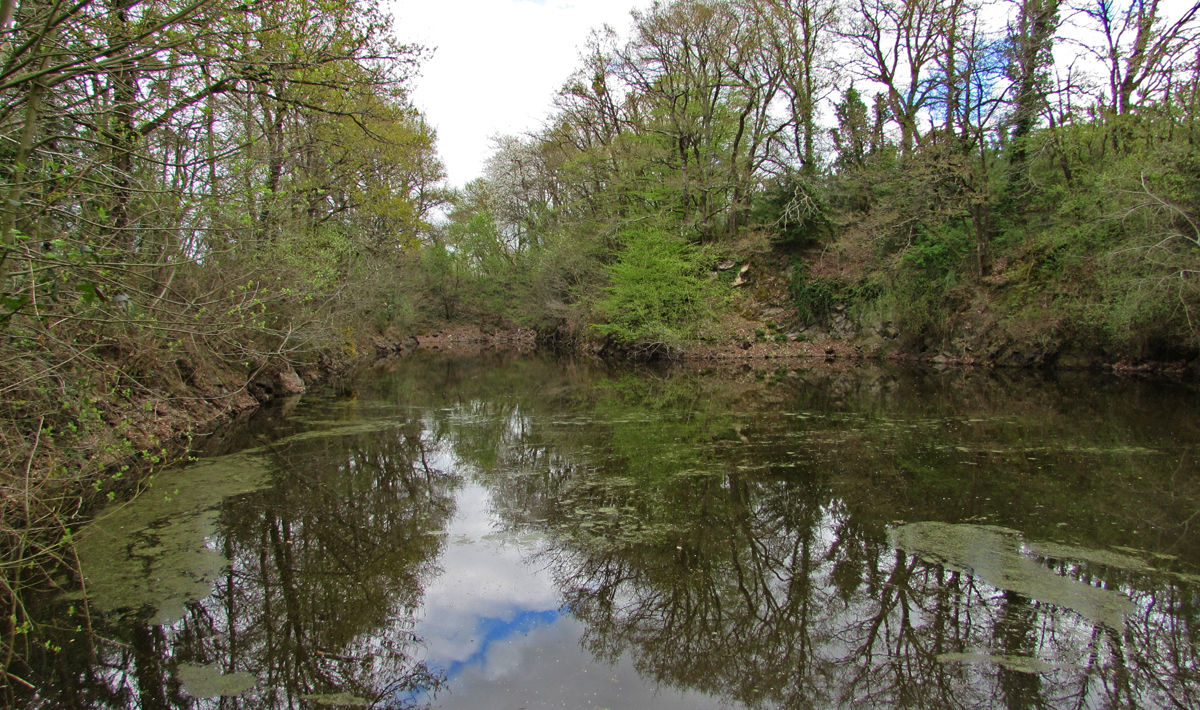 Sfeer Petite Coquais Frankrijk Karpers Sfeer Frankrijk 2