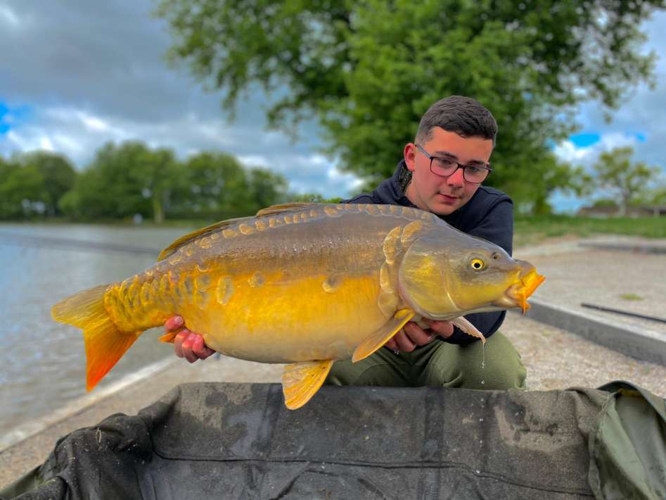 Crolee Bas 1 Crolee Bas 1