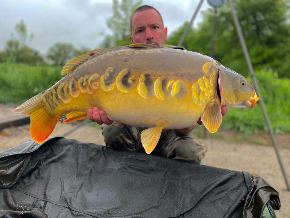 Crolee Bas 3 Crolee Bas 3