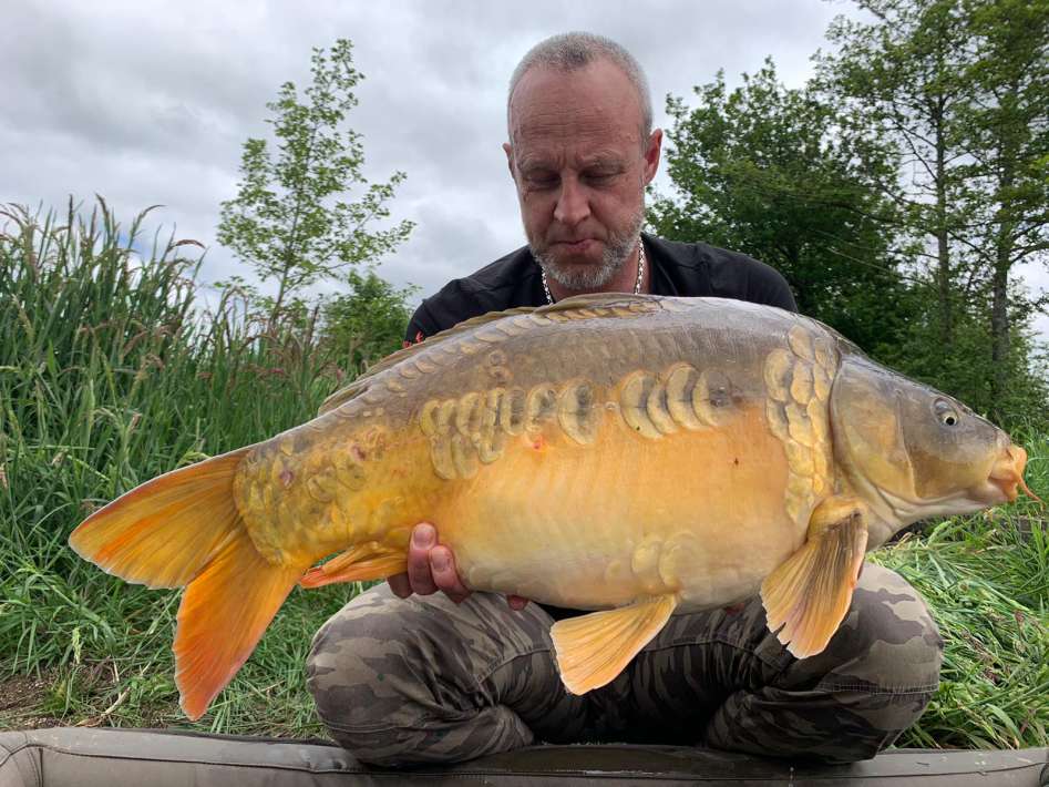 Crolee Bas 4 Crolee Bas 4