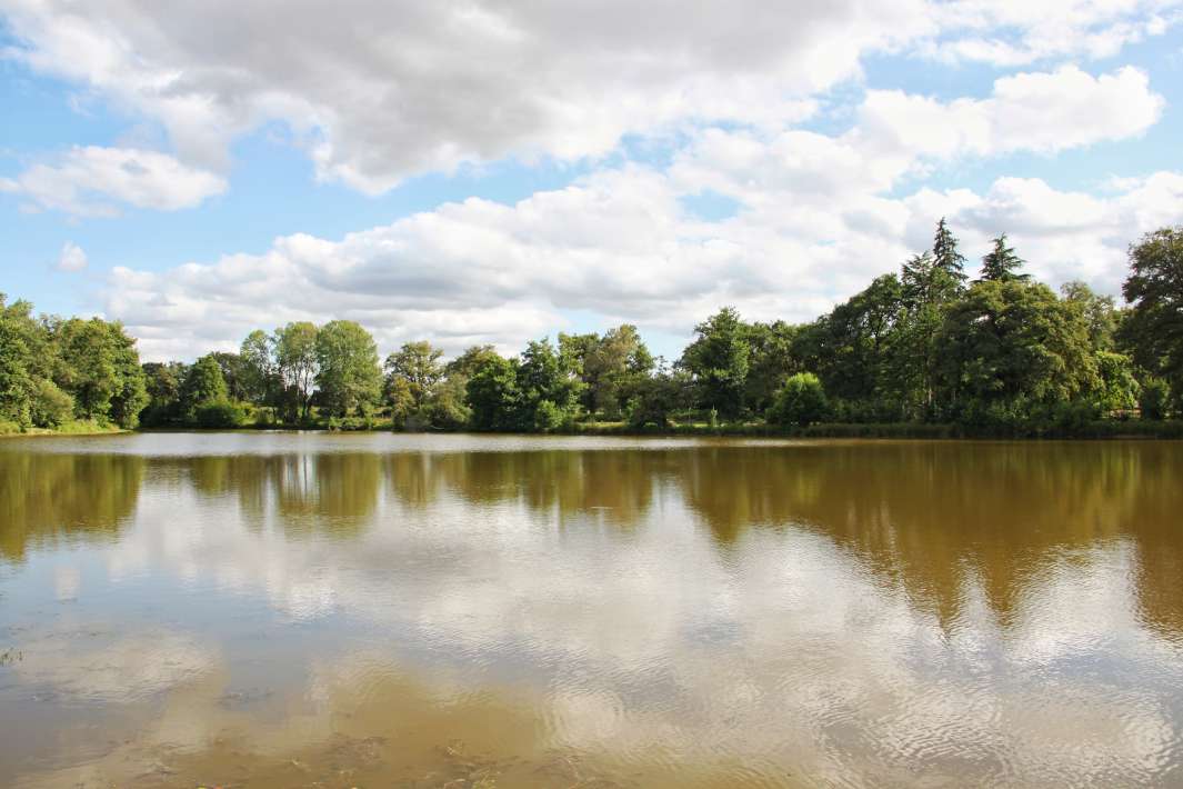 Crolee Bas Het Meer 1 Crolee Bas Het