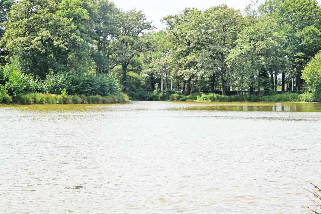 Crolee Bas Het Meer 2 Crolee Het Meer