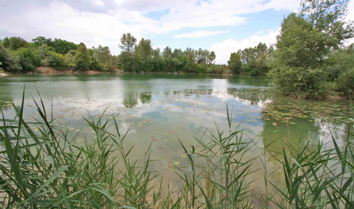 Sfeer Little Christoph Karpervisvakantie Noord Little Christoph Karpervisvakantie