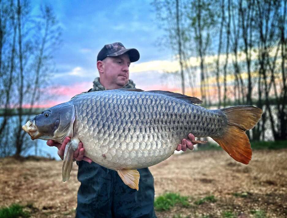 Pegasus Carpfishing Holiday Comon Carp Comon Carp 1