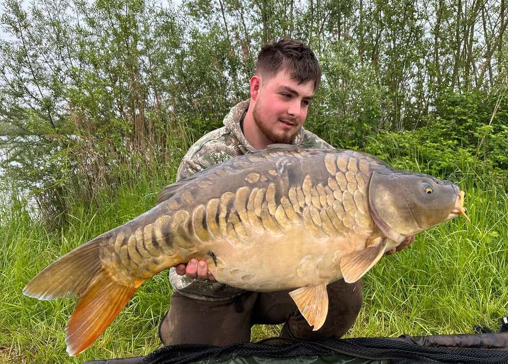 Pegasus Carpfishing Holiday Linear Carp Pegasus Carpfishing Linear