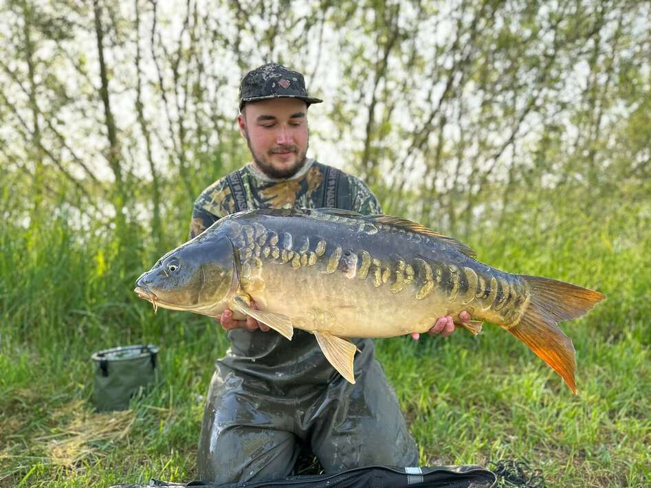 Pegasus Carpfishing Holiday Miror Carp Pegasus Holiday Miror
