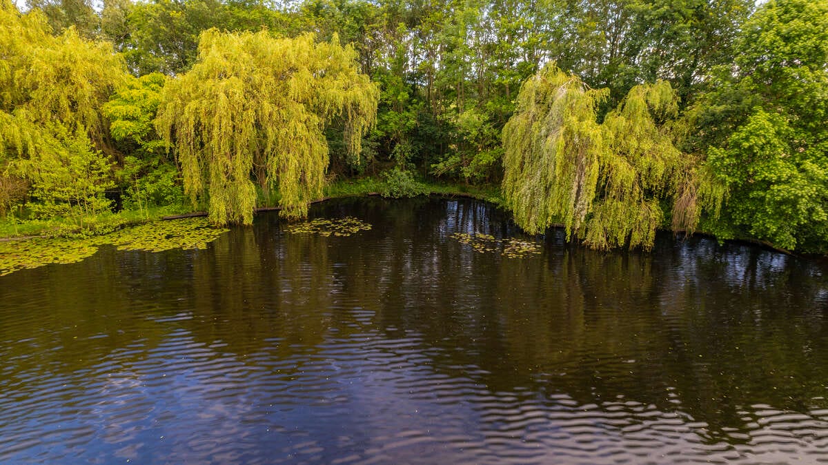 Carp Lake Rosmalen Drone 2 Carp Lake Rosmalen