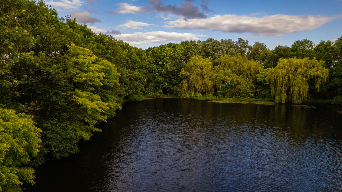 Carp Lake Rosmalen Drone Carp Rosmalen Drone