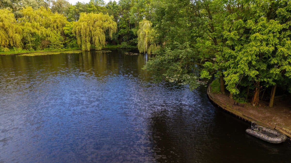 Carp Lake Rosmalen Het Water Lake Rosmalen Water