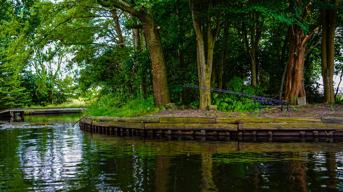 Carp Lake Rosmalen Sfeer Lake Rosmalen Sfeer