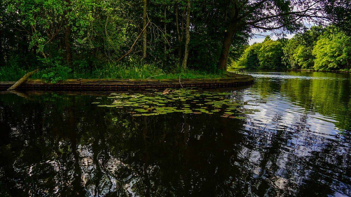 Carp Lake Rosmalen Sfeerfoto 3 Carp Lake 3