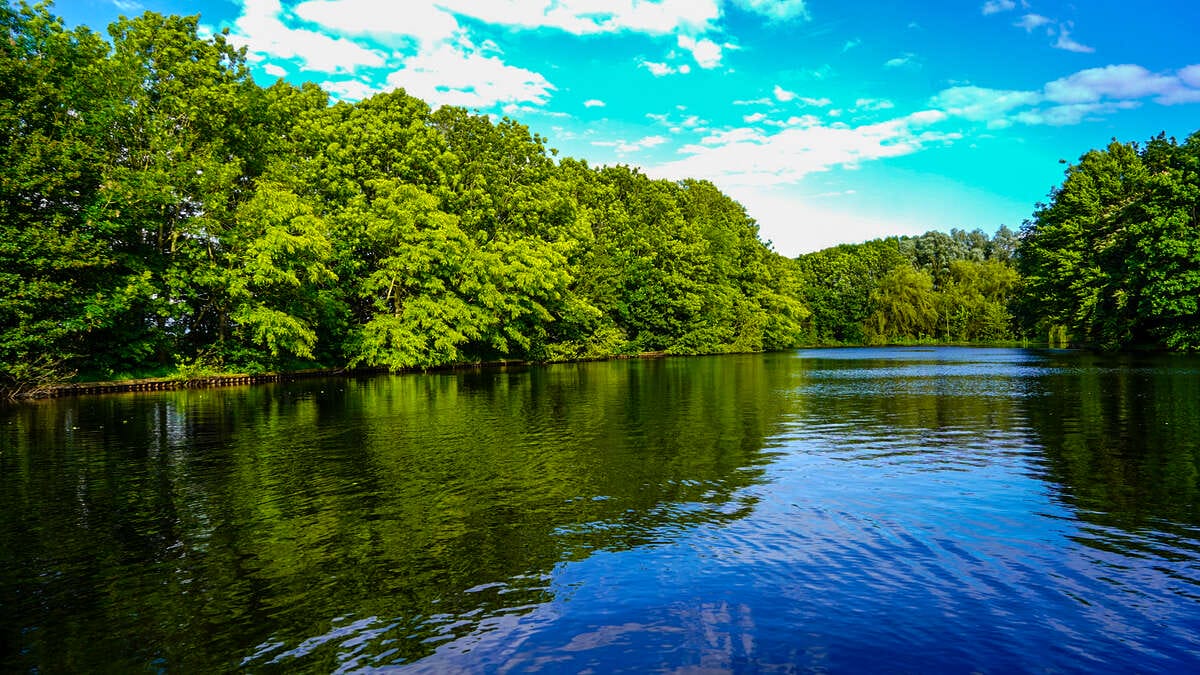 Carp Lake Rosmalen Sfeerfoto 8 Lake Rosmalen Sfeerfoto