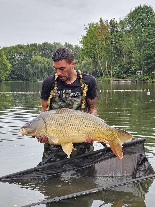 Carplake Rosmalen Karpervissen In Nederland Carplake Rosmalen 10