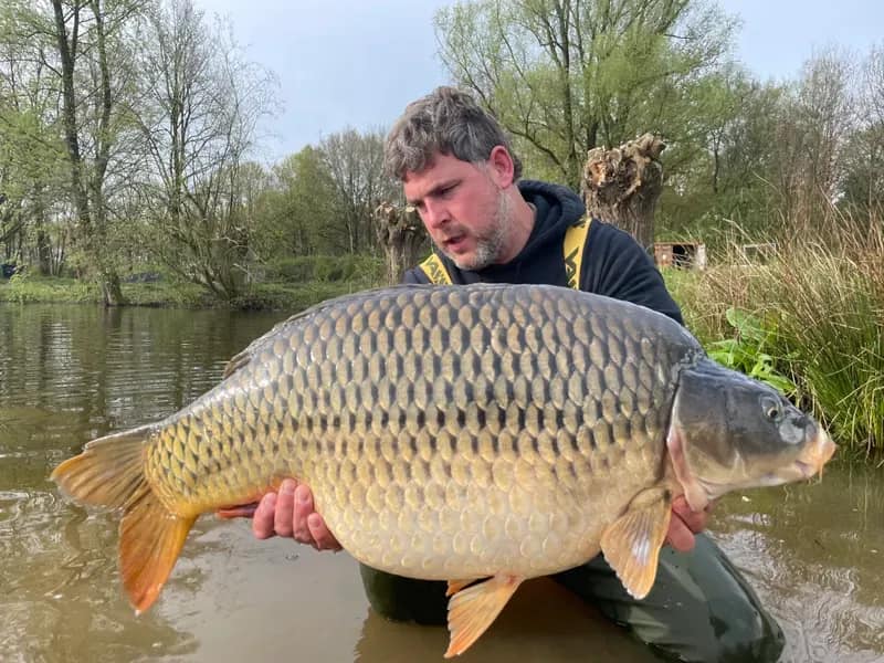 2023 April.1 April.1