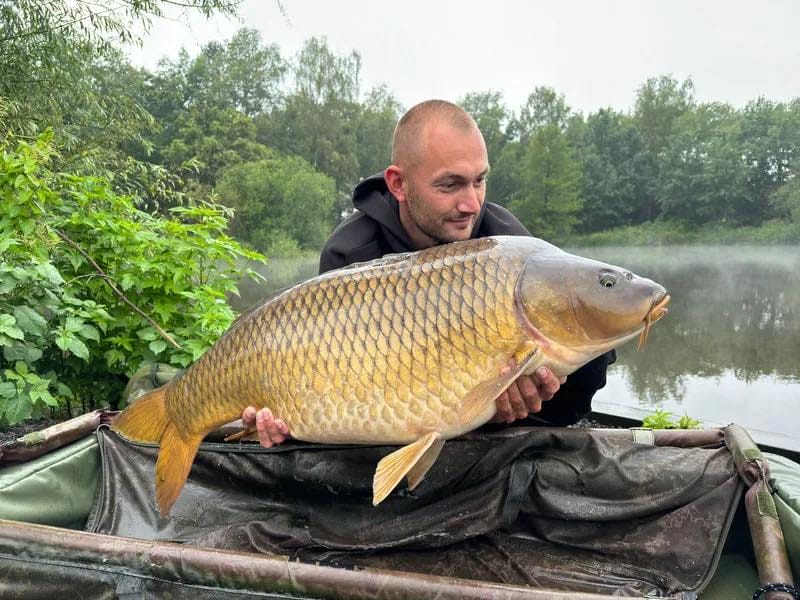 Glory Carp Lake 4 Glory Carp Lake