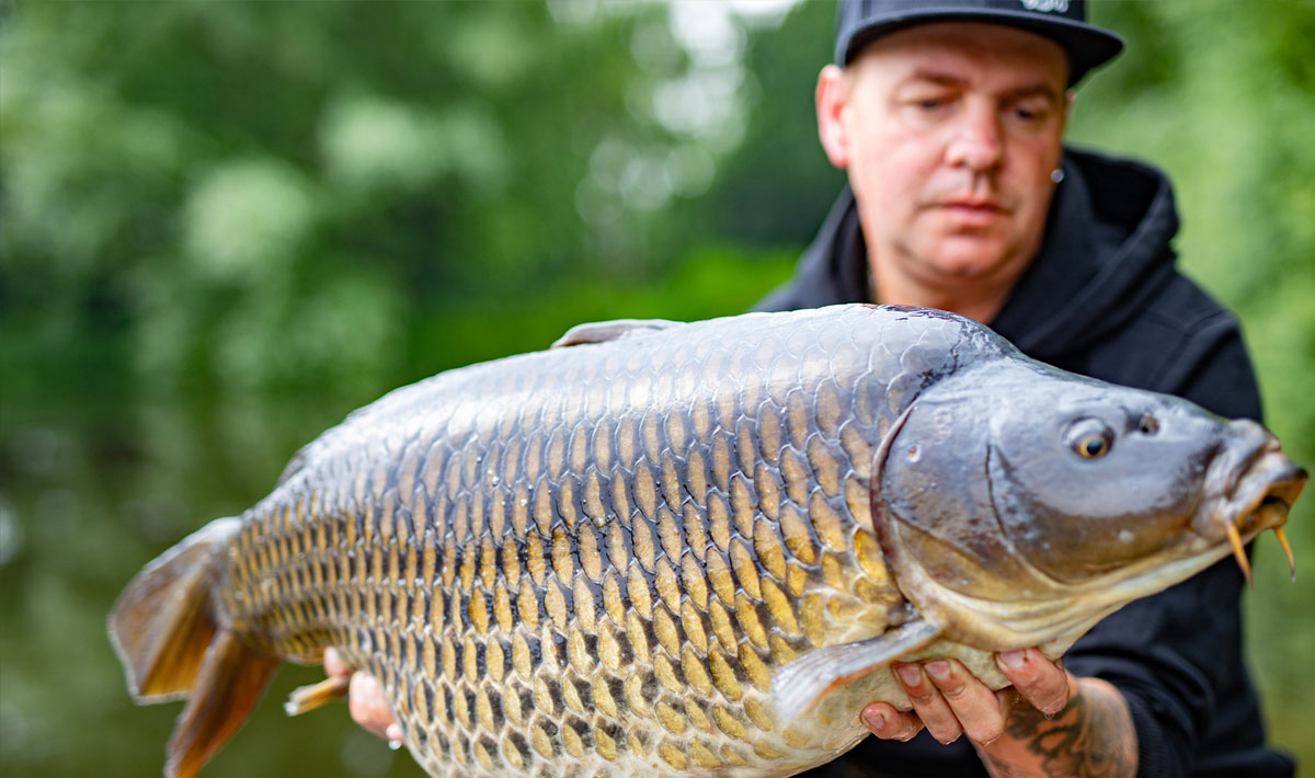 Karpervissen Betaalwater Oploo Glory Carp Betaalwater Oploo Carp