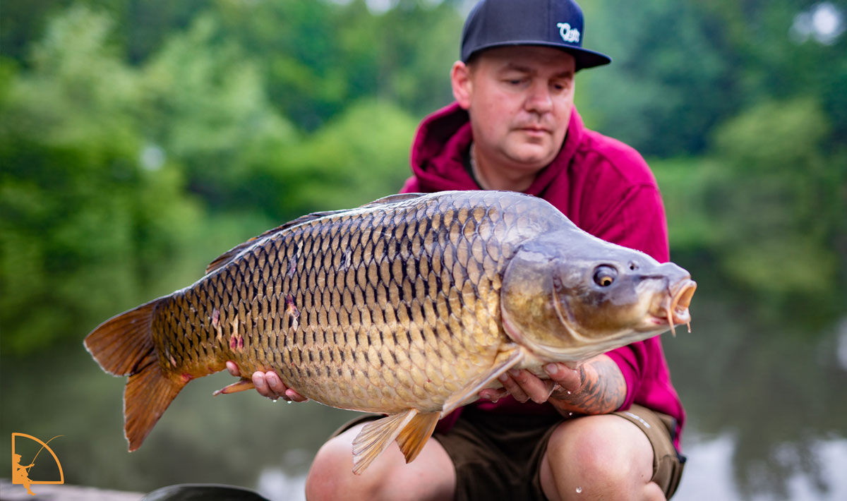 Karpervissen Betaalwater Oploo Glory Carp Oploo Glory Carp