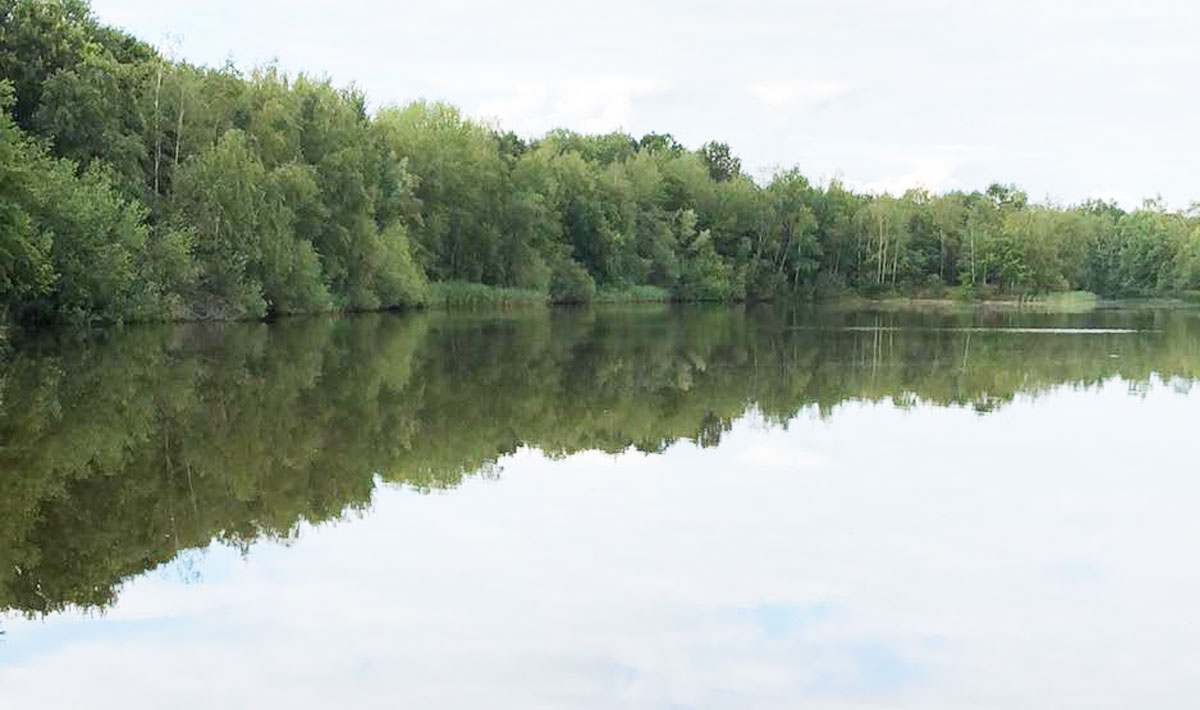 Omgeving Betaalwater Oploo Karpervissen Glory Omgeving Betaalwater 1