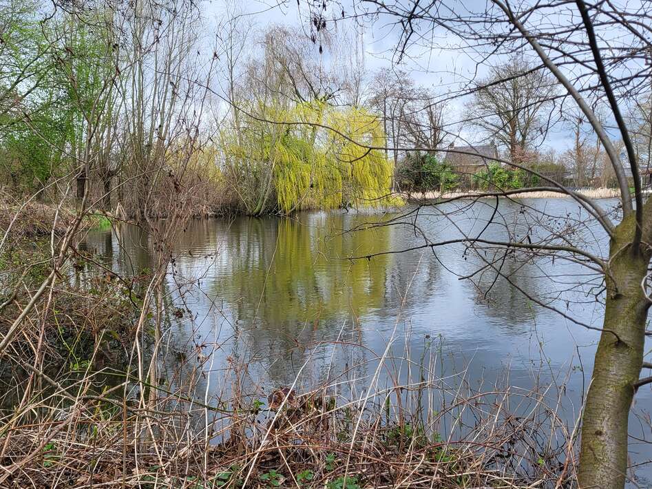 20230331 155119 1 20230331 155119 1