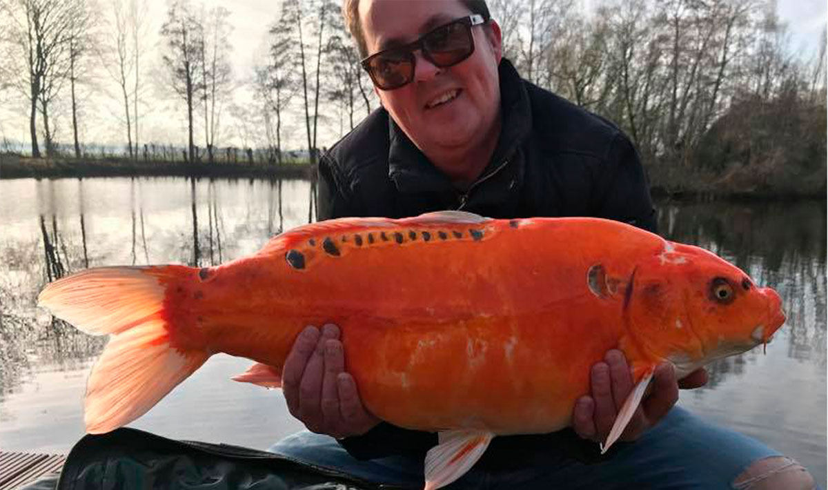 Karperdroom Herpen Karpervisvakantie Nederland Accommodatie Karperdroom Nederland 1