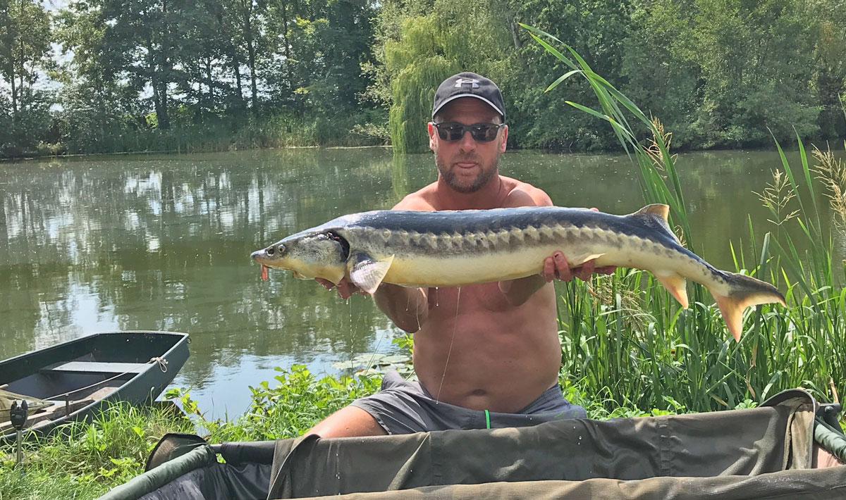 Karperdroom Herpen Karpervisvakantie Nederland Accommodatie Herpen Accommodatie 17