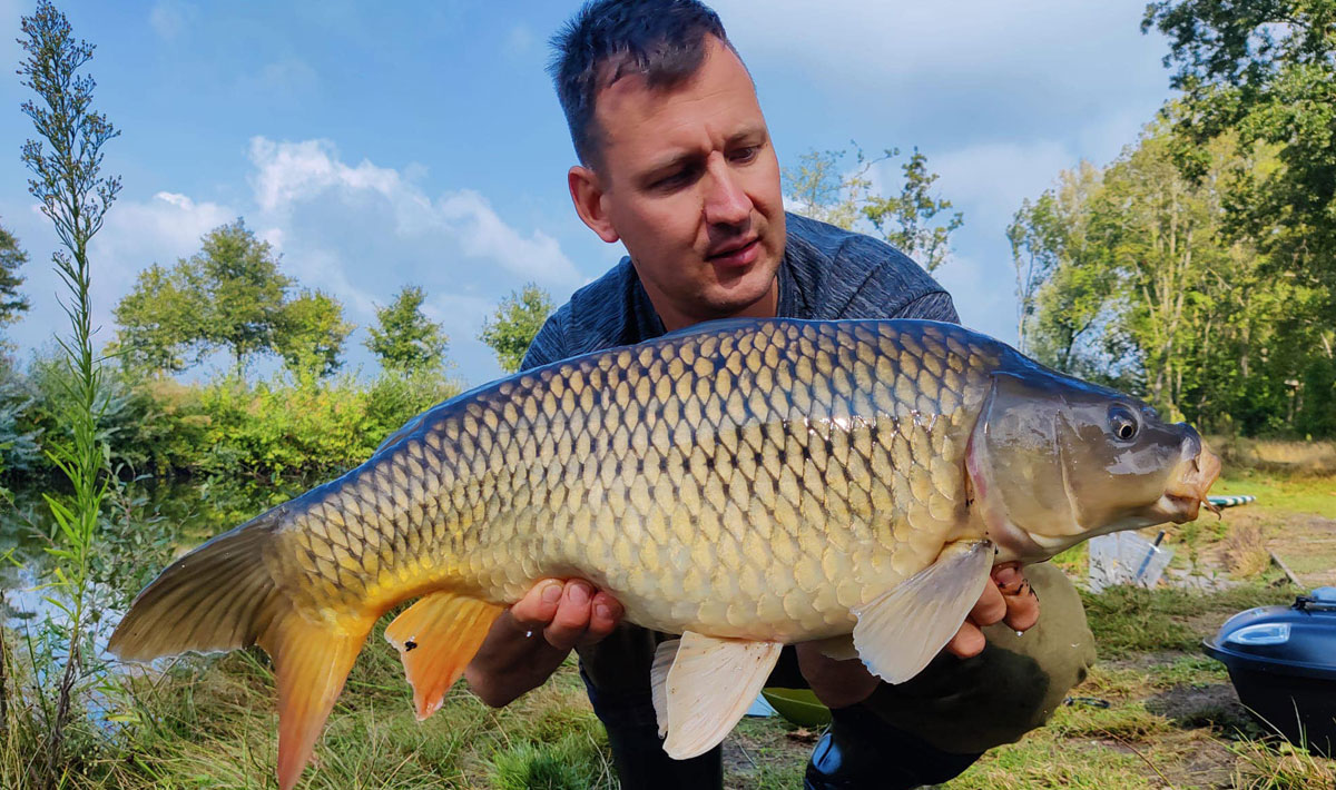 Karper Little Carpvalley Karpervissen Visvakantie Karper Little Betaalwater