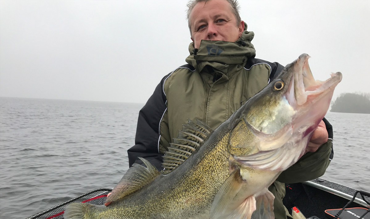 Nauta Visgids Roofvissen Nederland Snoek Visgids Roofvissen Nederland