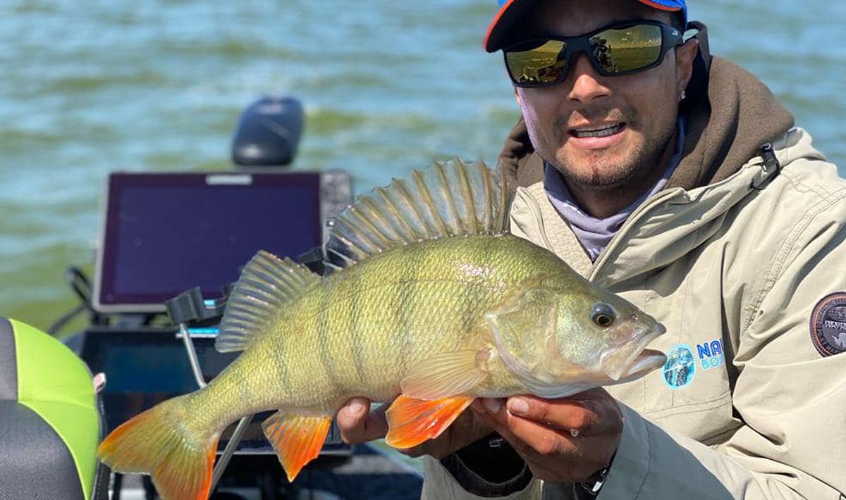 Nauta Visgids Roofvissen Nederland Snoek Roofvissen Nederland 3
