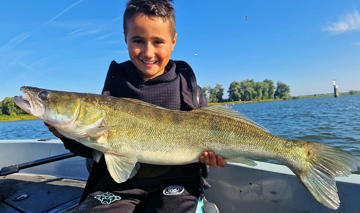 Nauta Visgids Roofvissen Nederland Snoek Nederland Snoekbaars Vistrip