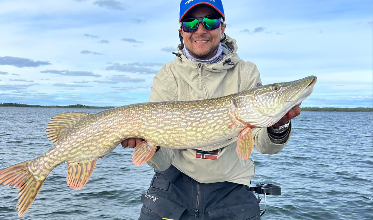 Nauta Visgids Roofvissen Nederland Snoek Roofvissen Nederland Snoek