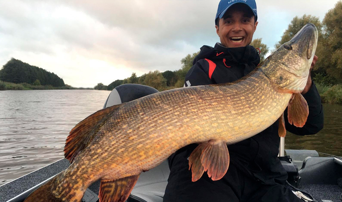 Nauta Visgids Roofvissen Nederland Snoek Nauta Roofvissen Snoekbaars