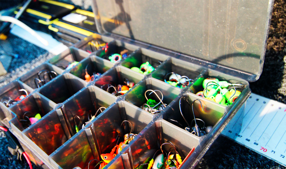 Nauta Visgids Roofvissen Nederland Snoek Nauta Visgids Vistrip