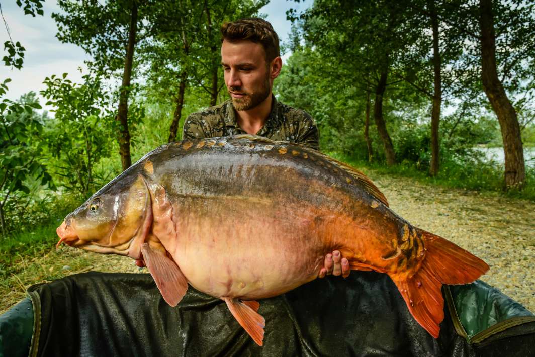 25.8 Sector B 25.8 Sector B