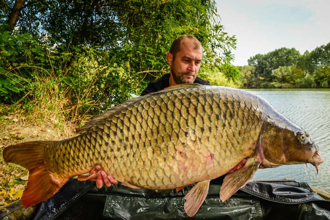 27.3kg Sector A 27.3kg Sector A