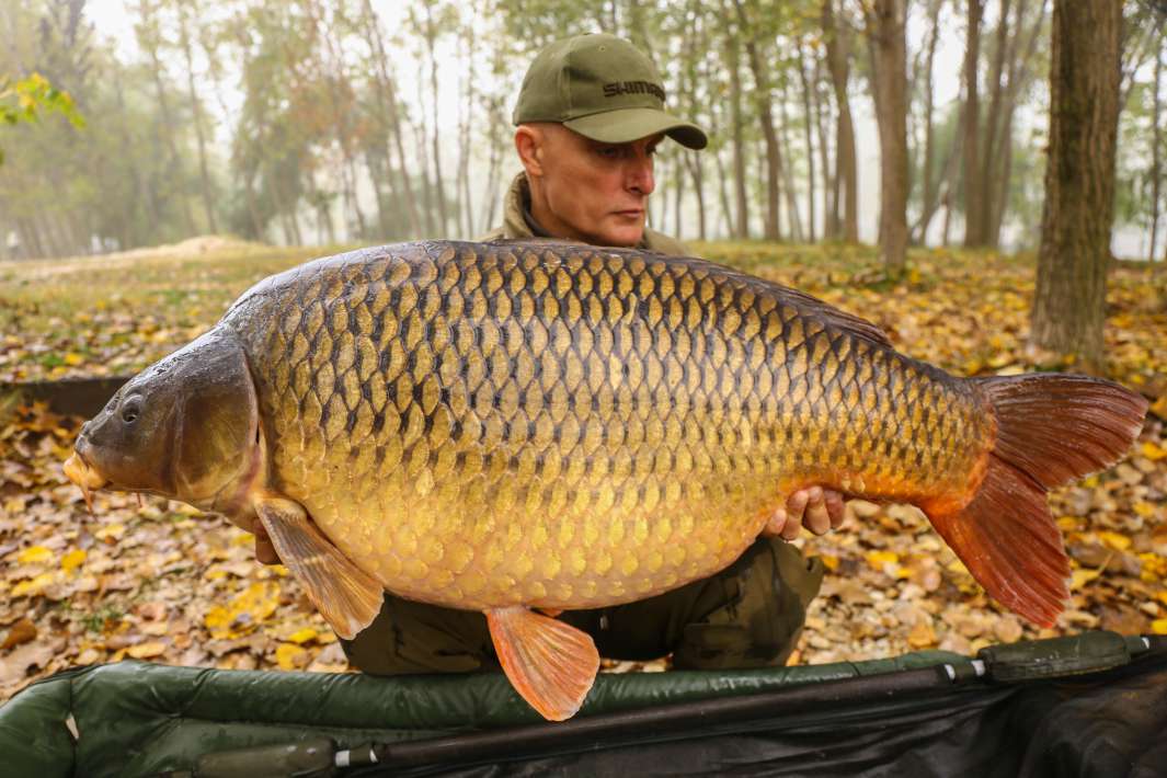 285kg Sector A 285kg Sector A