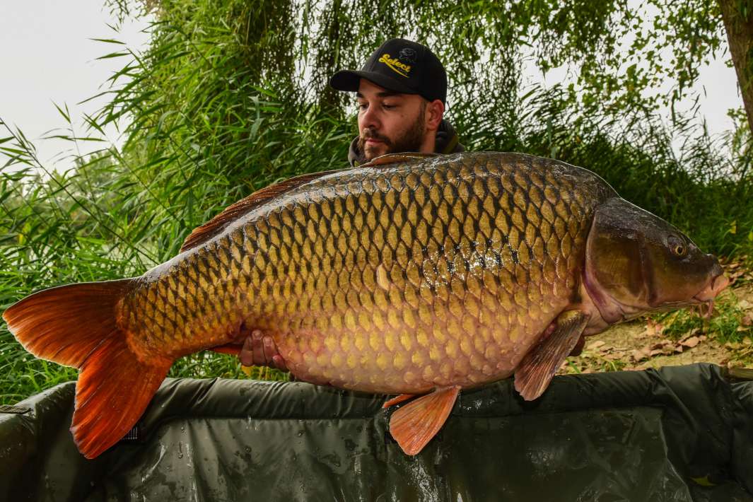 29.2kg Sector A 29.2kg Sector A