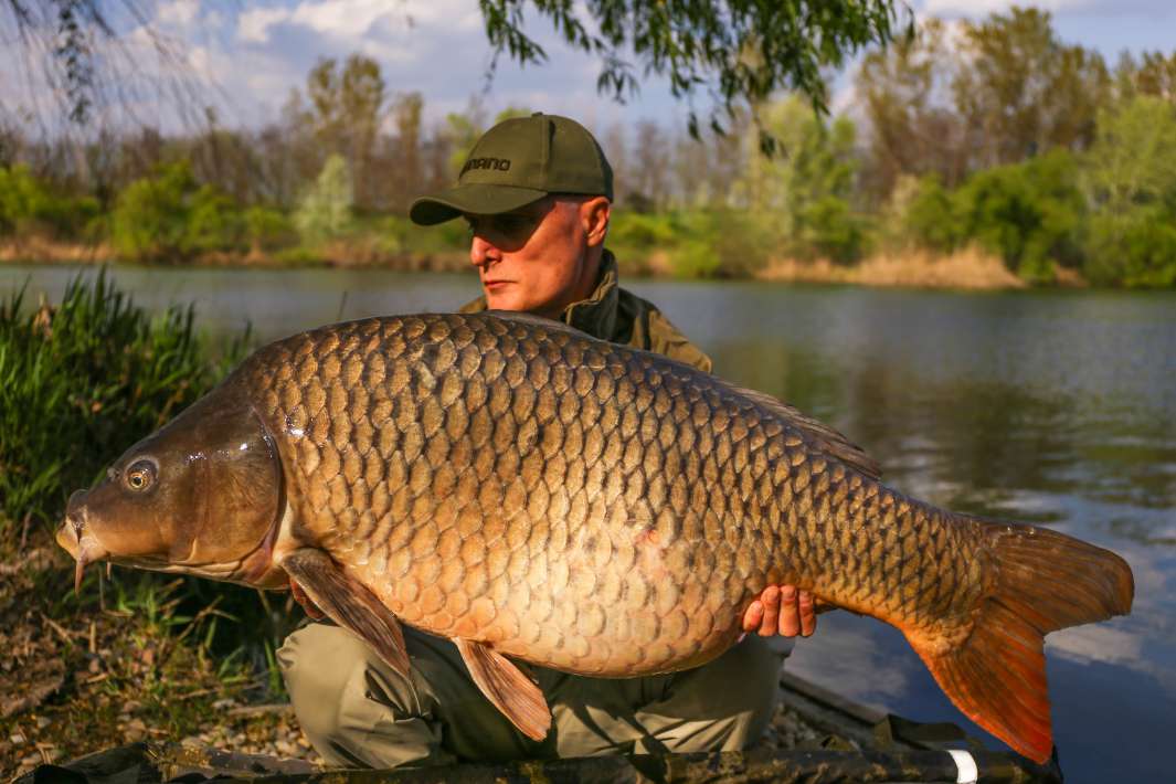 29kg Sector A 29kg Sector A