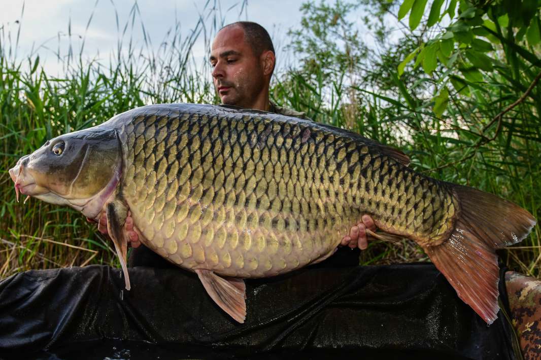 30kg Sector B 30kg Sector B