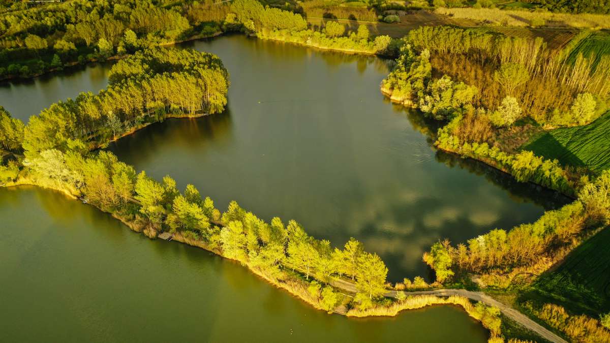 Varlaam Lake Sector A Landscape Lake Sector A
