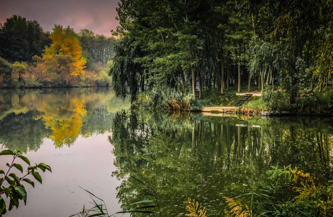 Varlaam Lake Sector A Landscape Lake Sector 2