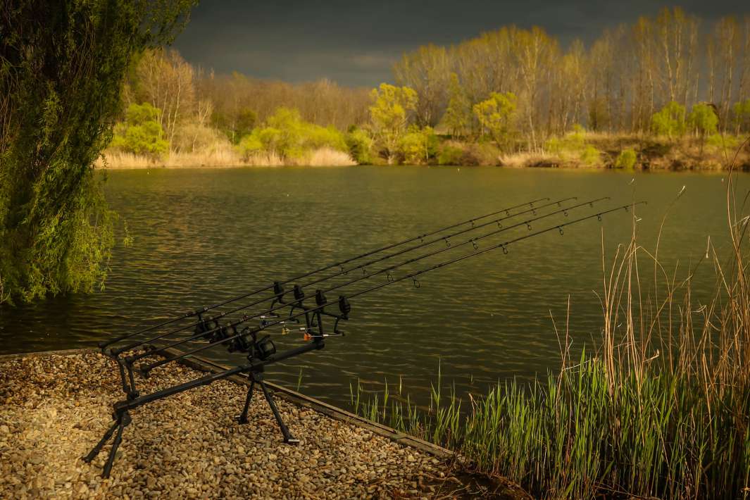 Varlaam Lake Sector A Landscape Sector A Landscape